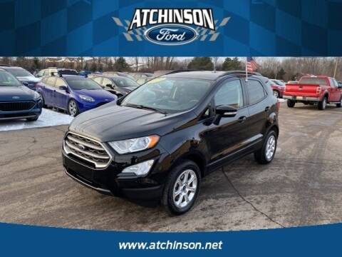2019 Ford EcoSport for sale at Atchinson Ford Sales Inc in Belleville MI