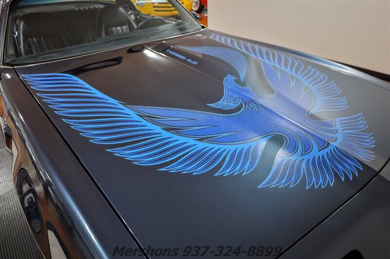 1981 Pontiac Firebird Trans Am