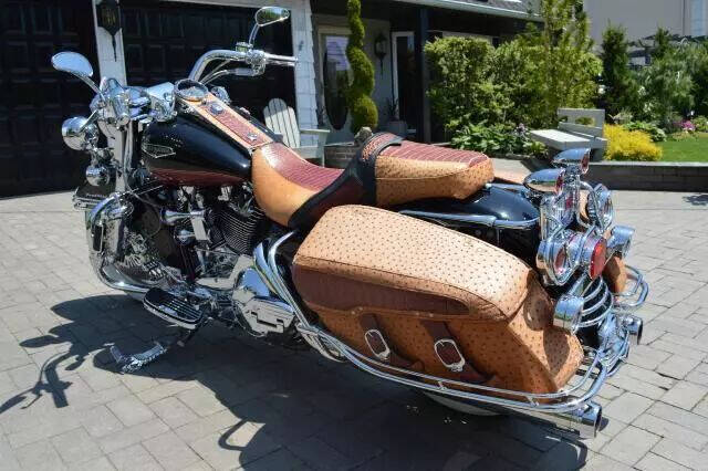 2005 Harley-Davidson Flhrci