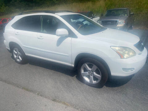 2007 Lexus RX 350 for sale at All American Autos in Kingsport TN