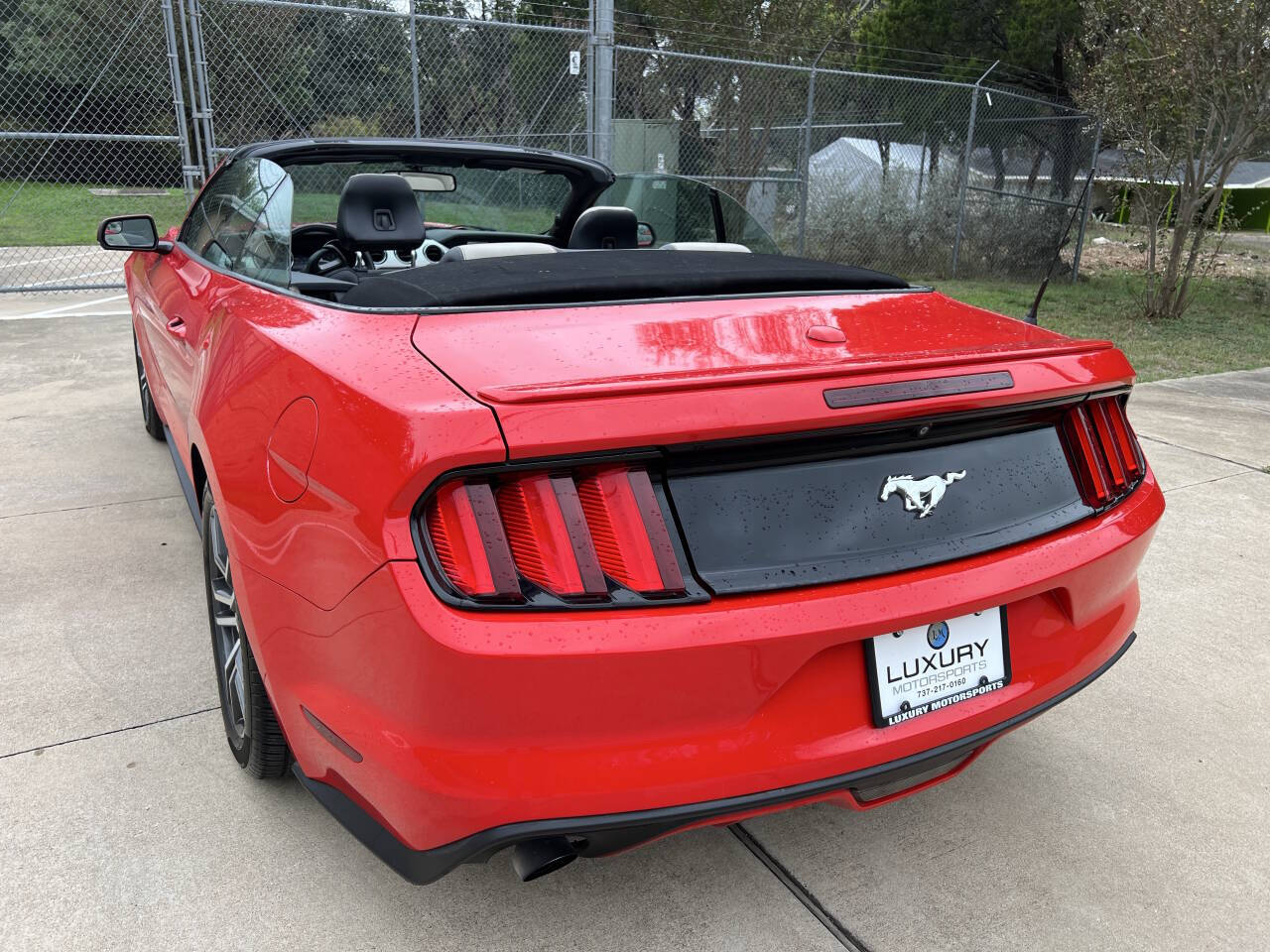 Used Car 2016 Ford Mustang  Ecoboost Premium 2dr Convertible For Sale Under $15,000 In Austin, Texas
