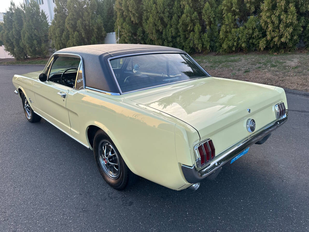 1966 Ford Mustang 4