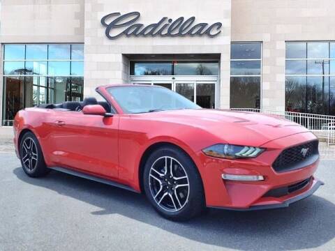 2021 Ford Mustang for sale at Radley Cadillac in Fredericksburg VA