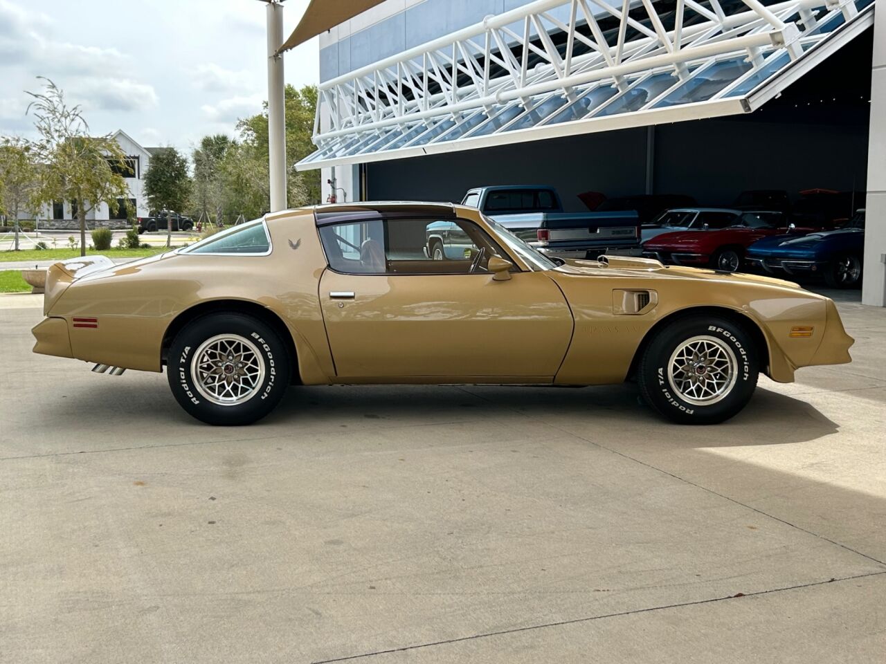 1978 Pontiac Firebird 4