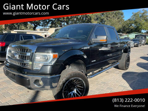 2014 Ford F-150 for sale at Giant Motor Cars in Tampa FL