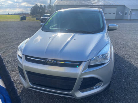 2013 Ford Escape for sale at 309 Auto Sales LLC in Ada OH