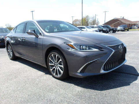 2020 Lexus ES 350 for sale at TAPP MOTORS INC in Owensboro KY