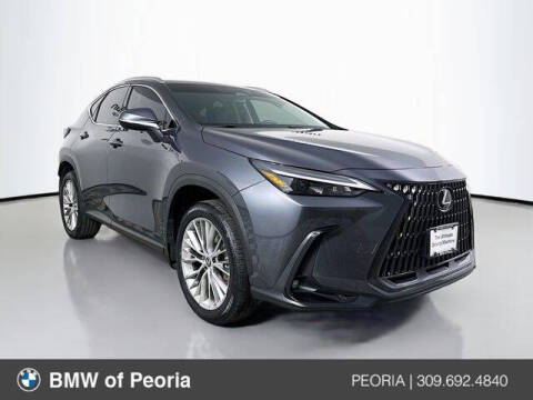 2025 Lexus NX 350h Premium