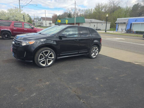 2011 Ford Edge for sale at Maximum Auto Group II INC in Cortland OH