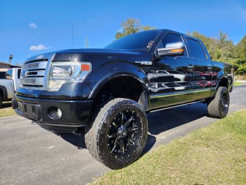 2013 Ford F-150 for sale at Gator Truck Center of Ocala in Ocala FL