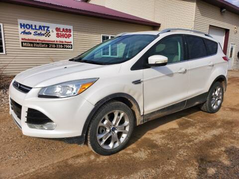 2014 Ford Escape for sale at Hollatz Auto Sales in Parkers Prairie MN