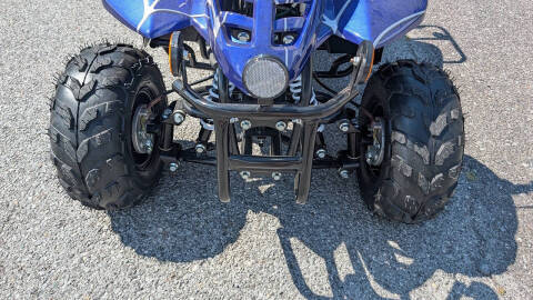 2025 TrailMaster Mini 110 Sport
