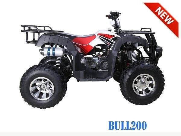 2023 TAO MOTOR BULL 200 for sale at Advanti Powersports in Mesa, AZ