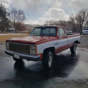 1980 Chevrolet C/K 1500 Series for sale at Classic Car Deals in Cadillac MI