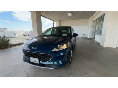 2020 Ford Escape for sale at Bradley Chevrolet Parker in Parker AZ