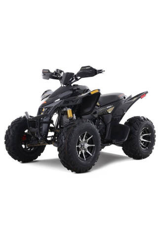 2025 Denago Daytona 250FI