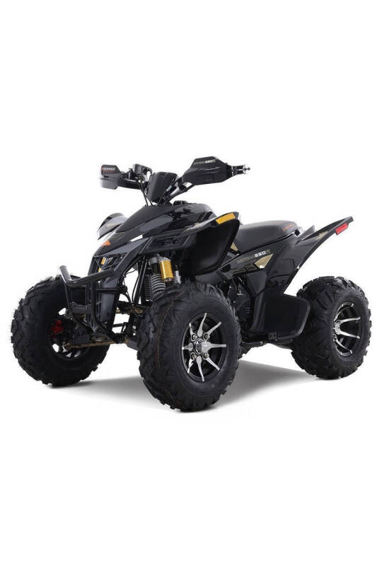 2025 Denago Daytona 250FI