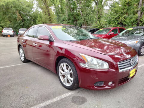 2013 Nissan Maxima for sale at AUTO LATINOS CAR in Houston TX