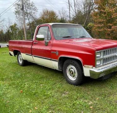 1981 Chevrolet Silverado 1500 SS Classic