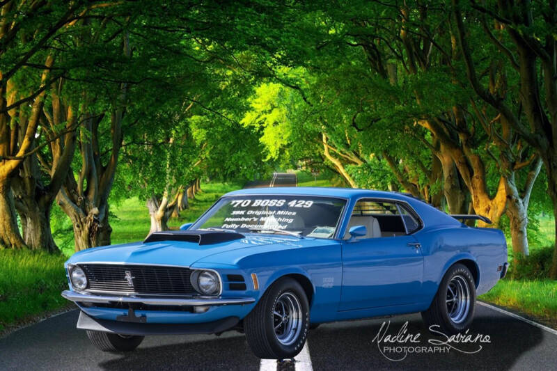1970 Ford Mustang for sale at Online Auto Connection in West Seneca NY