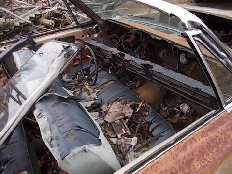 1966 Oldsmobile Eighty-Eight