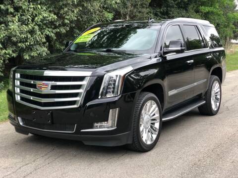 2019 Cadillac Escalade for sale at Race Auto Sales in San Antonio TX