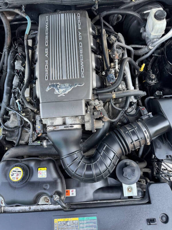 2009 Ford Mustang GT Deluxe
