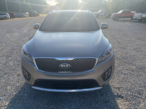 2017 Kia Sorento for sale at Discount Auto Sales in Liberty KY