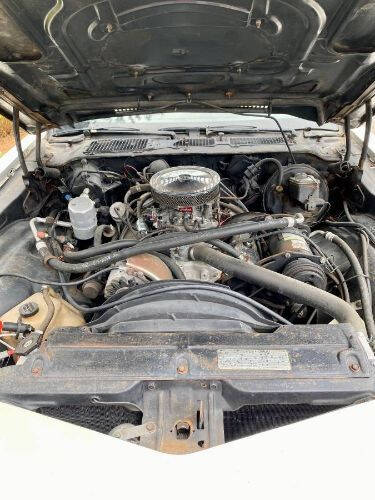 1978 Chevrolet Camaro