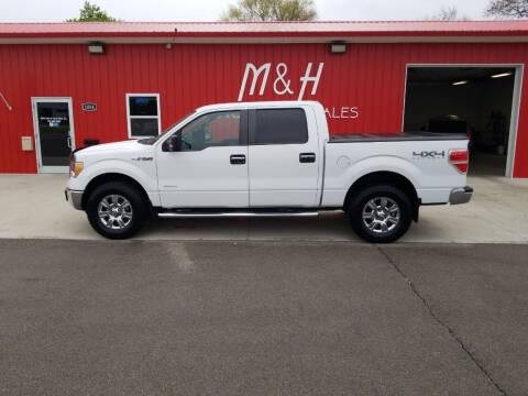 2012 Ford F-150 for sale at M & H Auto & Truck Sales Inc. in Marion IN
