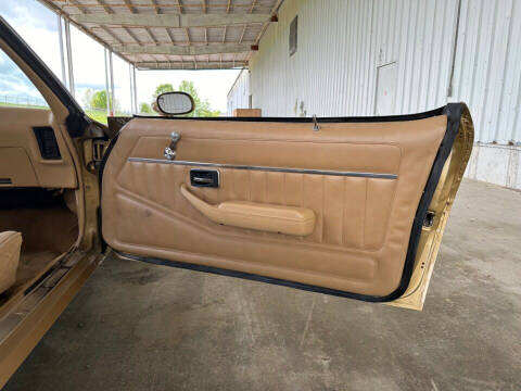 1979 Pontiac Firebird Trans Am