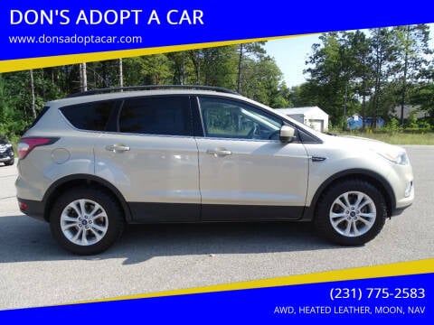 2018 Ford Escape for sale at DON'S ADOPT A CAR in Cadillac MI