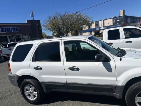 2007 Ford Escape XLT