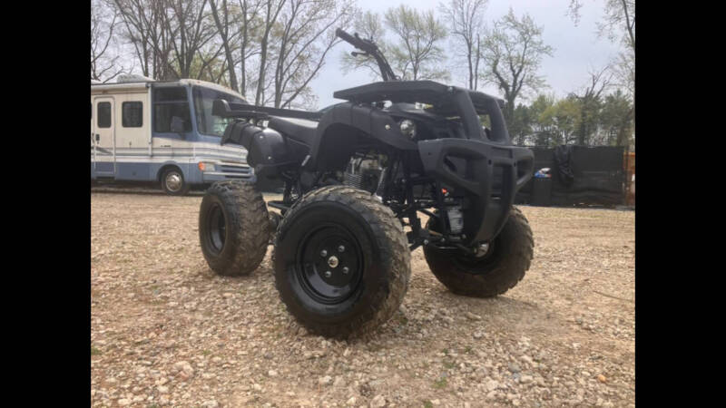 2016 Tao Tao Rhino 250