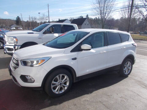 2017 Ford Escape for sale at Dansville Radiator in Dansville NY