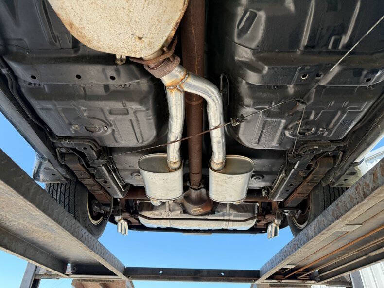 1981 Pontiac Firebird Trans Am