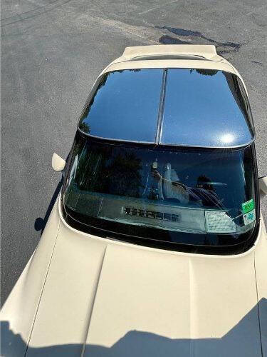 1981 Chevrolet Corvette
