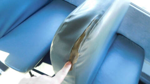 2014 Blue Bird Vision