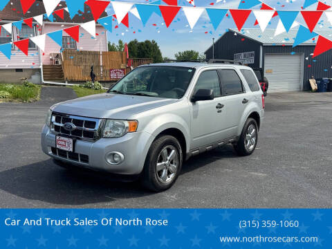 2010 Ford Escape XLT