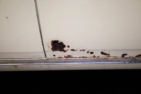 1968 Chevrolet Corvair