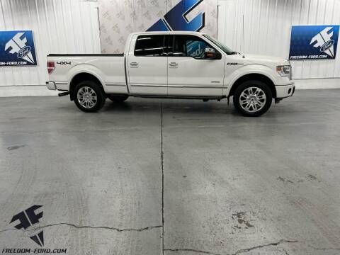 2013 Ford F-150 for sale at Freedom Ford Inc in Gunnison UT