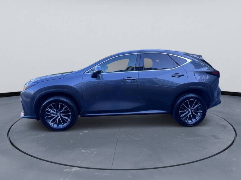 2024 Lexus NX 250
