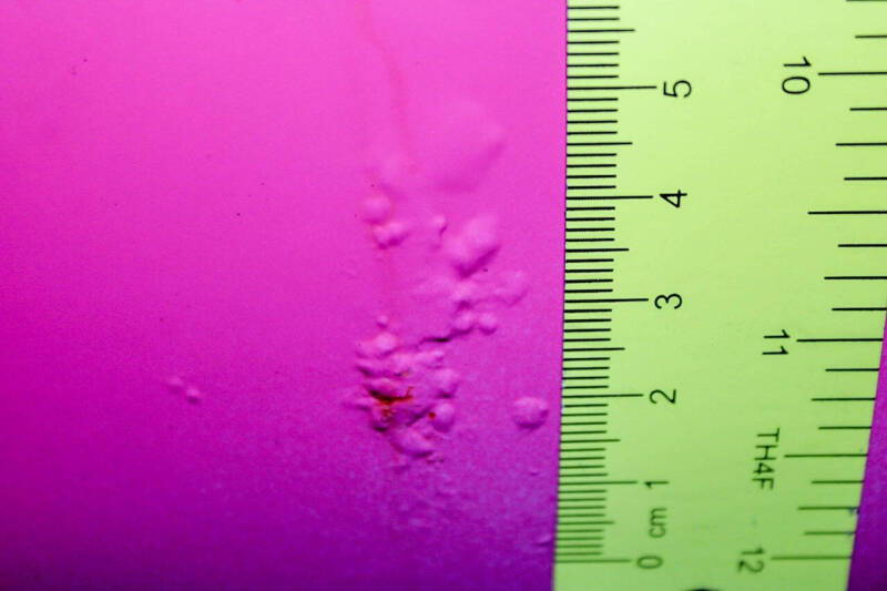 1968 Plymouth Roadrunner