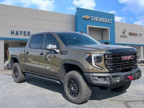 2023 GMC Sierra 1500 for sale at HAYES CHEVROLET Buick GMC Cadillac Inc in Alto GA