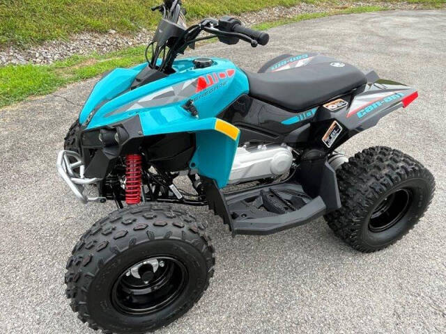 Can-Am Renegade 110 EFI Image