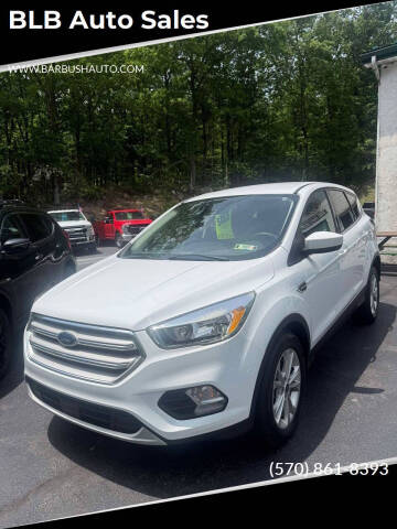 2019 Ford Escape SE
