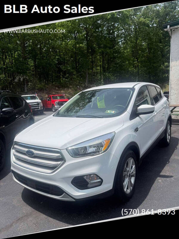 2019 Ford Escape SE