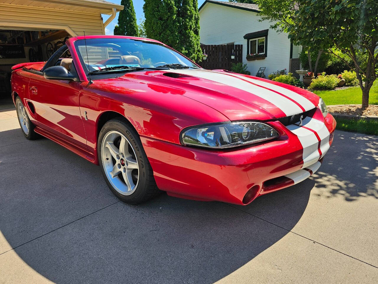 1996 Ford Mustang SVT Cobra 84