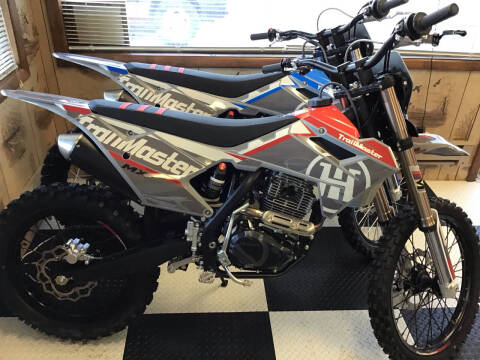 2025 TrailMaster MX 250 Pro