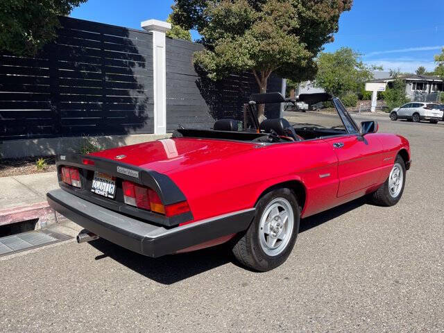 1986 Alfa Romeo Spider Veloce